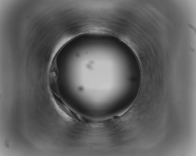 X0000097861152200803141233