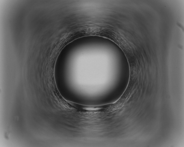 X0000097861153200803141232