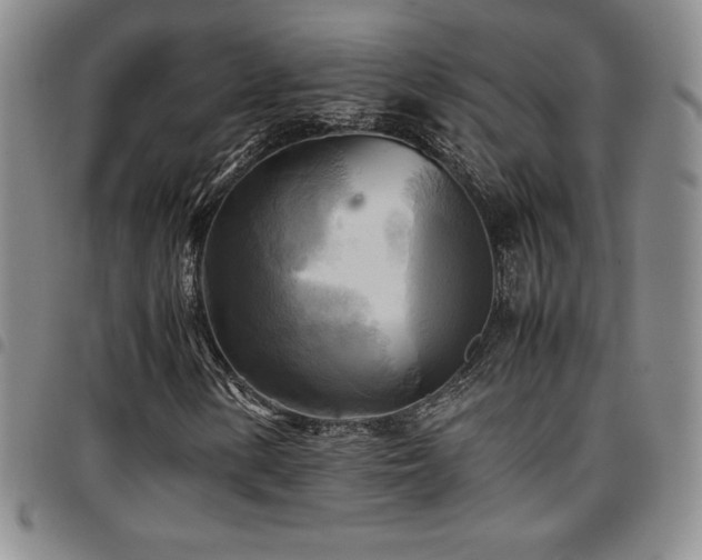 X0000097861154200803141232