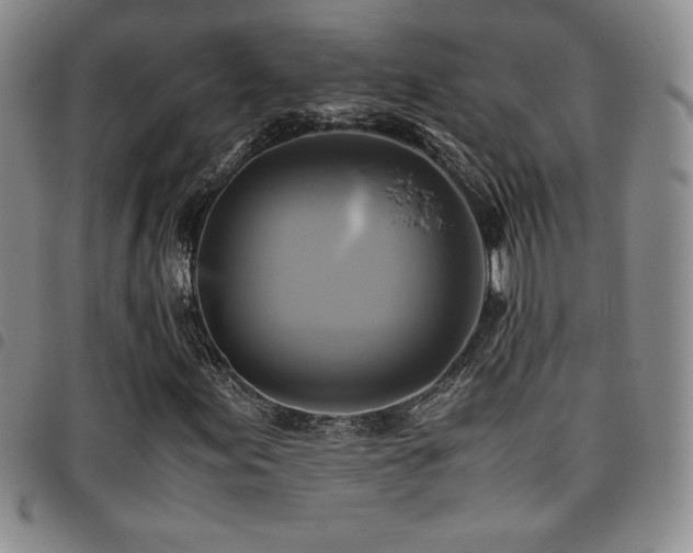 X0000097861155200803141232