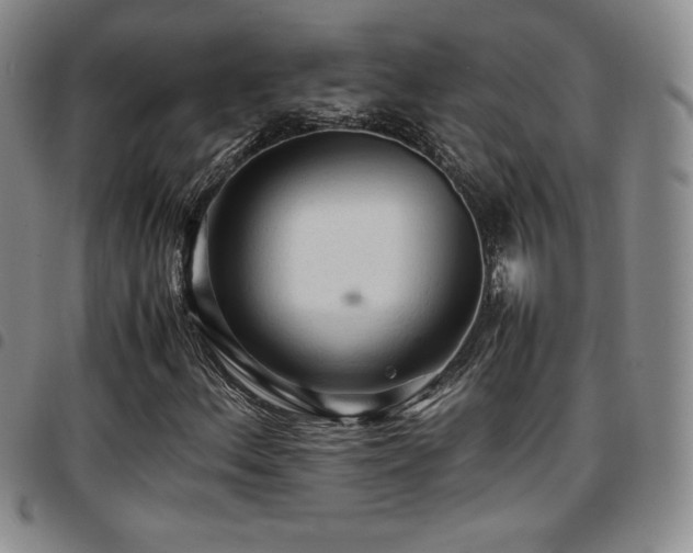 X0000097861156200803141232