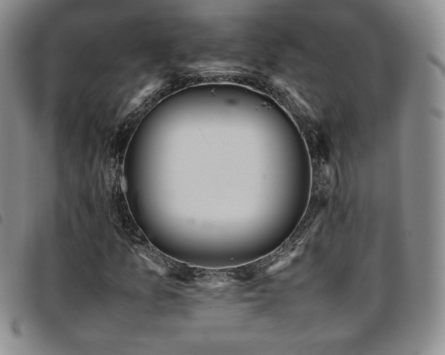 X0000097861157200803141232