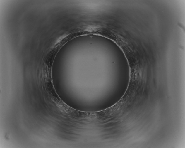 X0000097861158200803141232