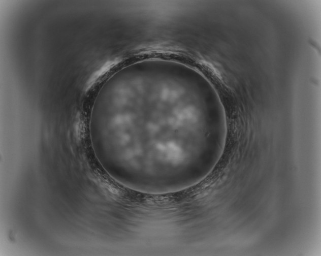 X0000097861159200803141232