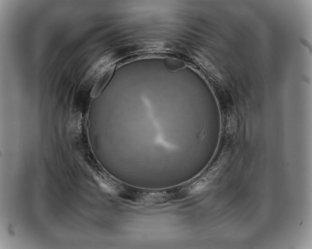 X0000097861161200803141232