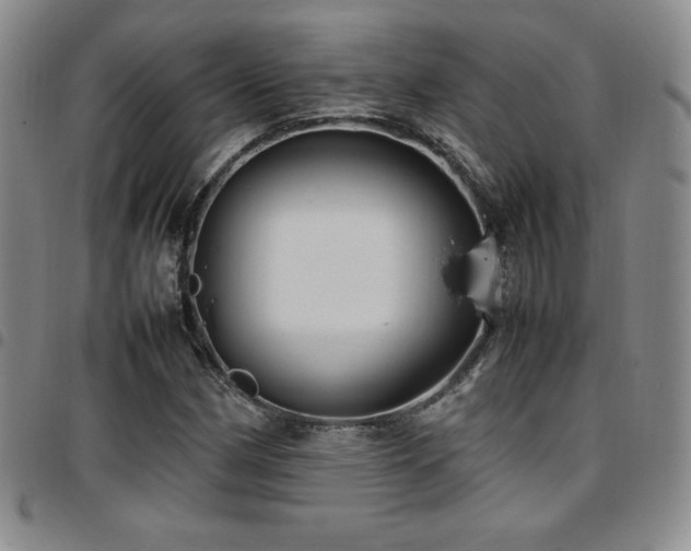 X0000097861162200803141232