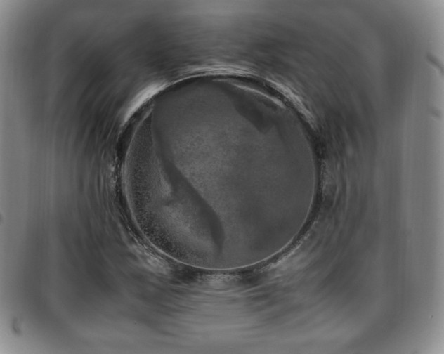 X0000097861163200803141232