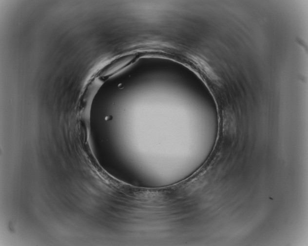 X0000097861164200803141232