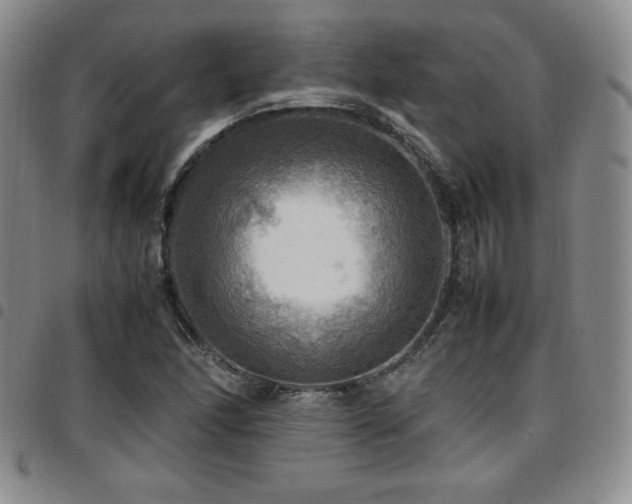 X0000097861166200803141232