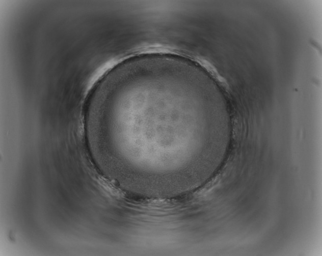 X0000097861167200803141232