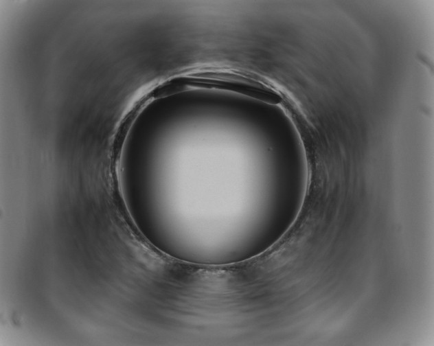 X0000097861168200803141232