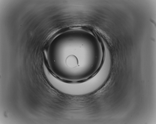 X0000097861169200803141232