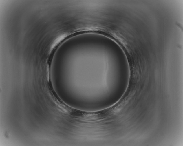 X0000097861171200803141232