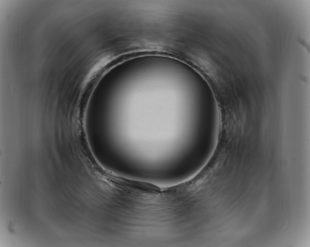 X0000097861172200803141232