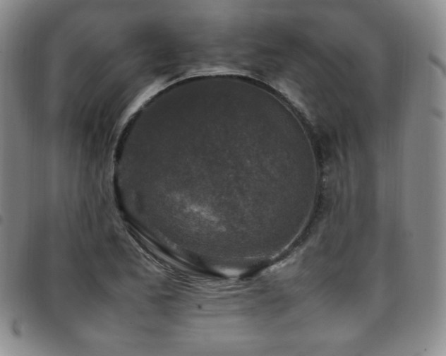 X0000097861173200803141232