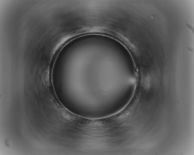 X0000097861174200803141232