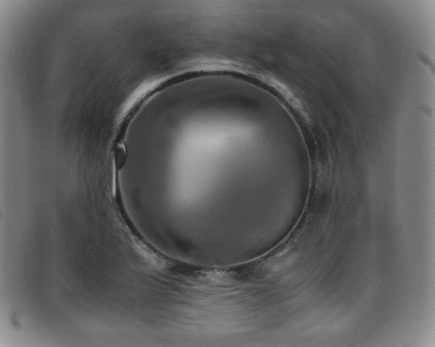 X0000097861175200803141232