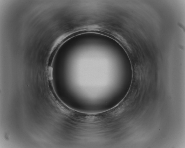 X0000097861176200803141232