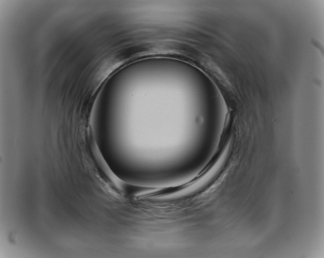 X0000097861177200803141232