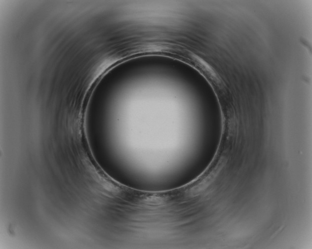 X0000097861178200803141232