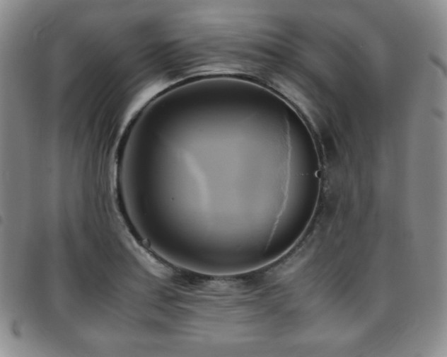 X0000097861179200803141232