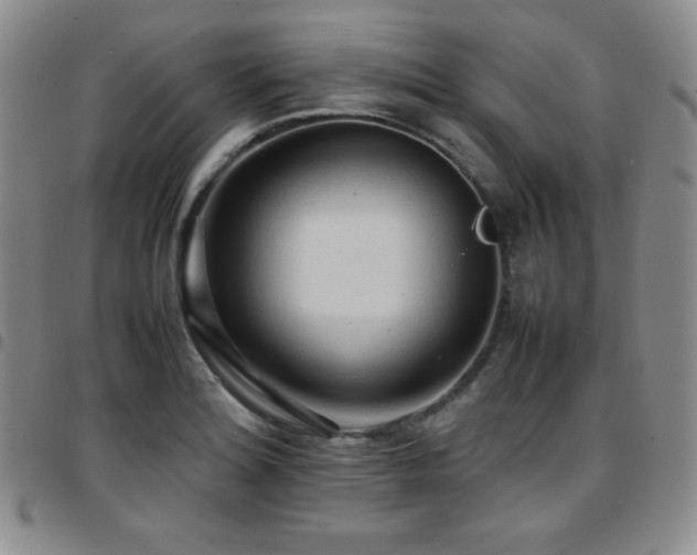 X0000097861180200803141232