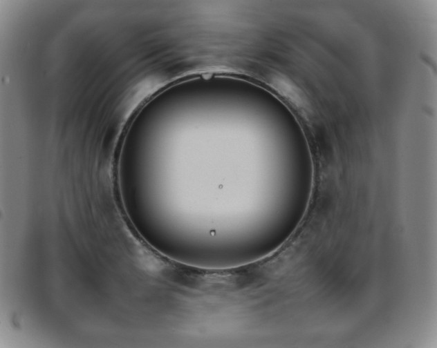 X0000097861181200803141232