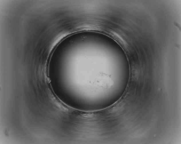 X0000097861182200803141232