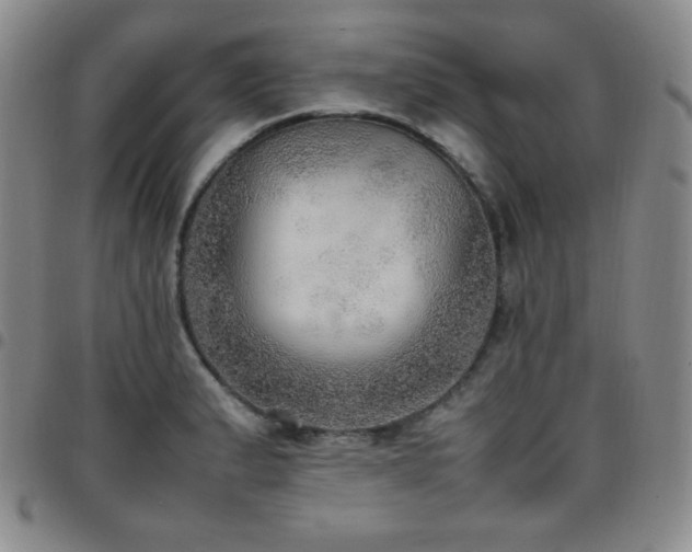 X0000097861183200803141232