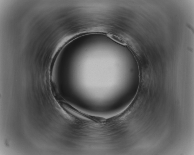 X0000097861184200803141232