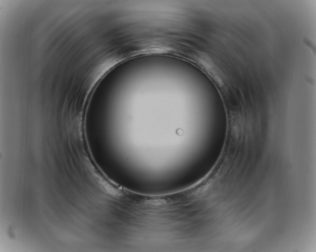 X0000097861186200803141232