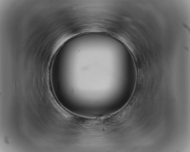 X0000097861187200803141232