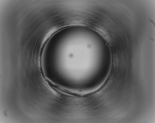 X0000097861188200803141232