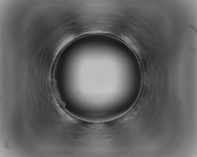 X0000097861189200803141232