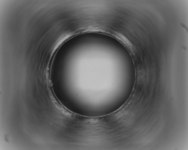 X0000097861190200803141232