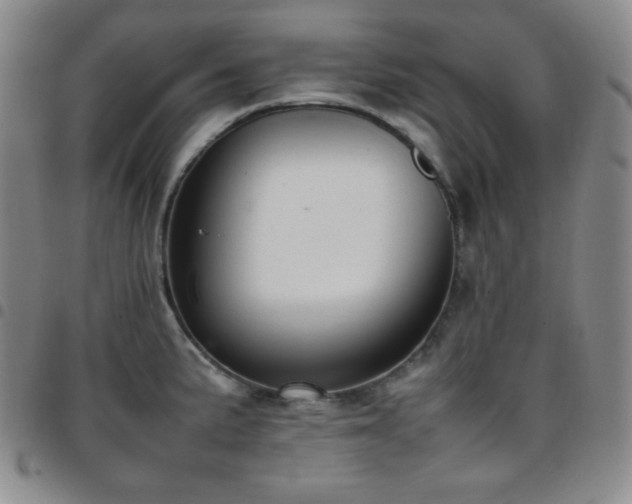 X0000097861191200803141232