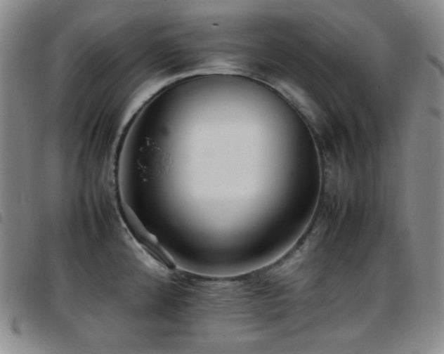 X0000097861192200803141232