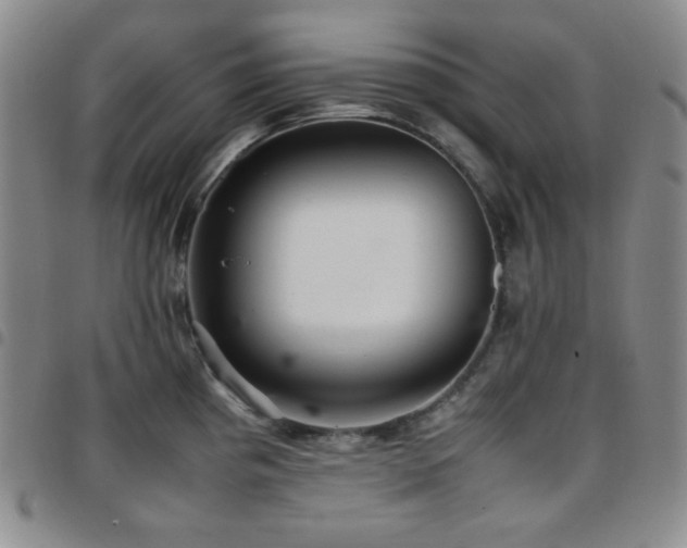 X0000097861193200803141232