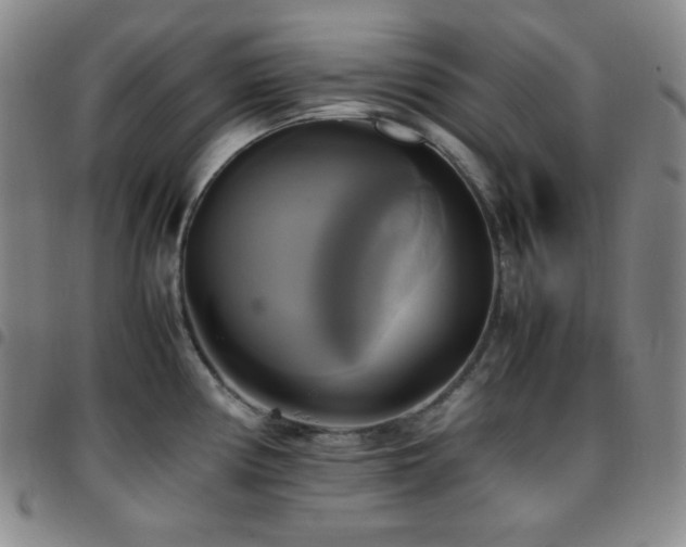 X0000097861194200803141232