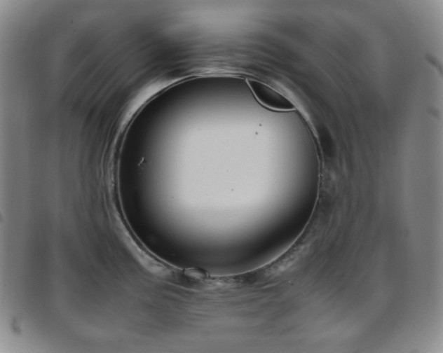 X0000097861195200803141232