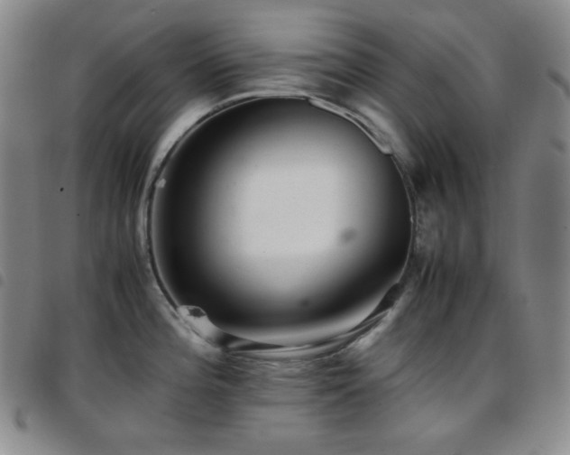 X0000097861196200803141232