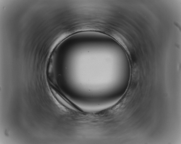 X0000097861197200803141232