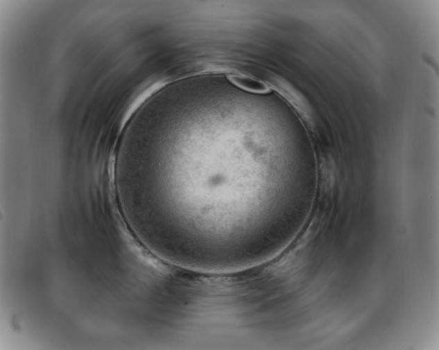 X0000097861198200803141232