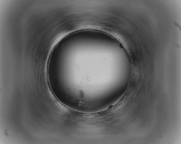 X0000097861199200803141231