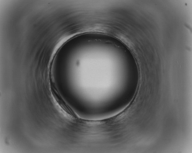 X0000097861200200803141231