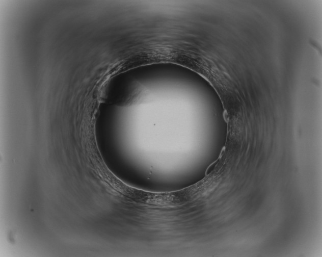 X0000097861201200803141231