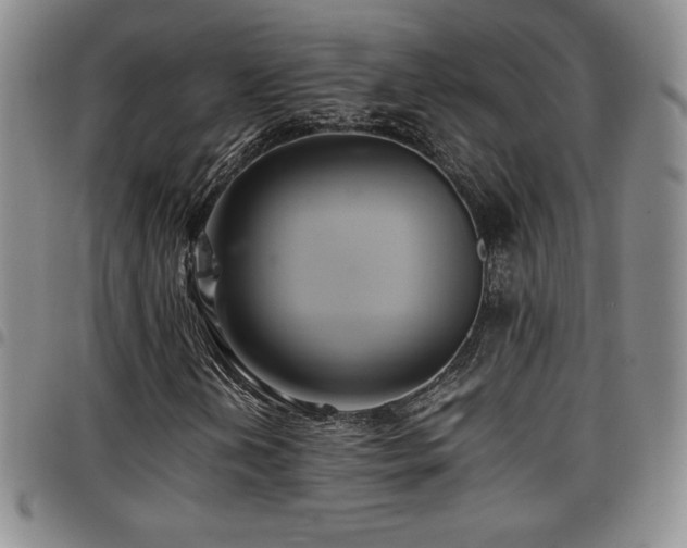 X0000097861202200803141231