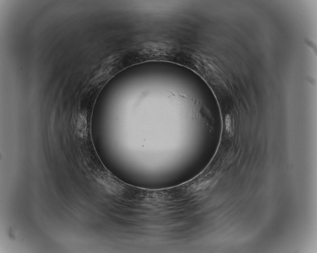 X0000097861203200803141231