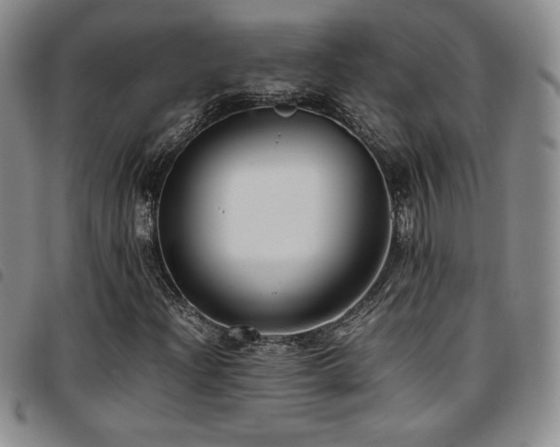 X0000097861204200803141231