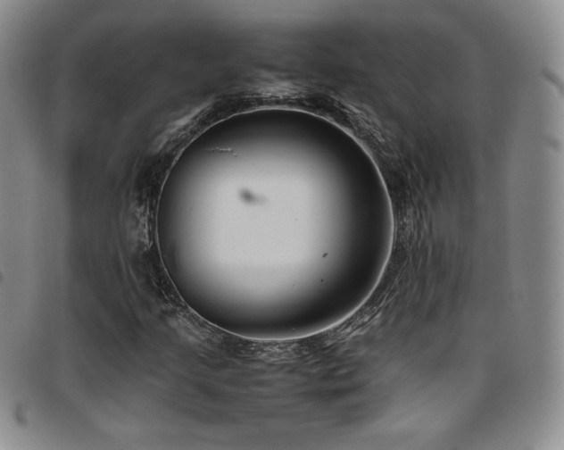 X0000097861205200803141231